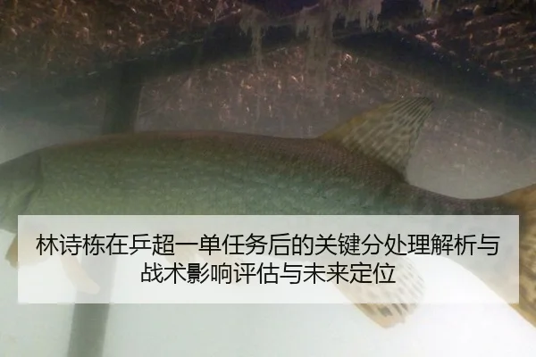 林诗栋在乒超一单任务后的关键分处理解析与战术影响评估与未来定位